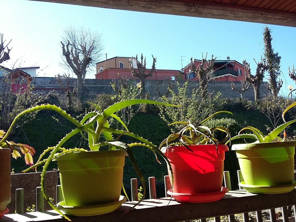 Tarcisio B&B Tavullia Exteriér fotografie